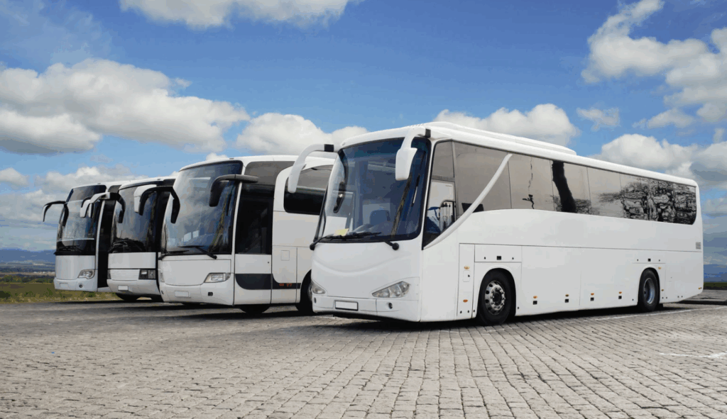 Noleggio Minivan e Pullman